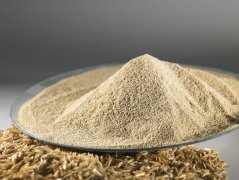 划重点，哪些是必要的饲料检测项目呢？