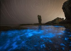 涨知识|增白剂检测的5种方法