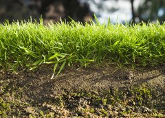 环境土壤检测怎么做？“地力”肥效显作用