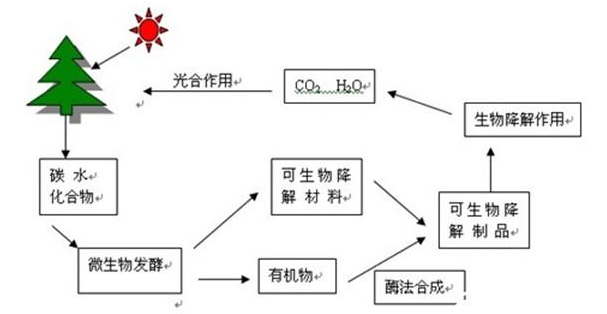塑料检测