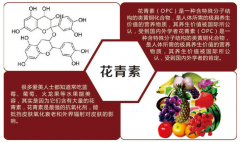 <b>知识篇:蓝莓中花青素的快速检测方法</b>