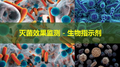 知识篇丨浅谈灭菌生物指示剂D值测试