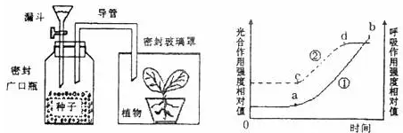 植物检测