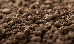 深度解读丨土壤价态砷的提取方法