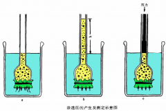 今日科普丨揭秘食品中的渗透压